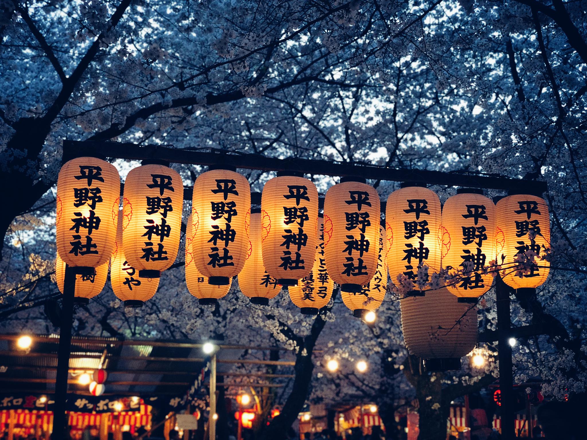 京都春日游园赏樱胜地强推平野神社 真的是最有气氛的地方了💮Al