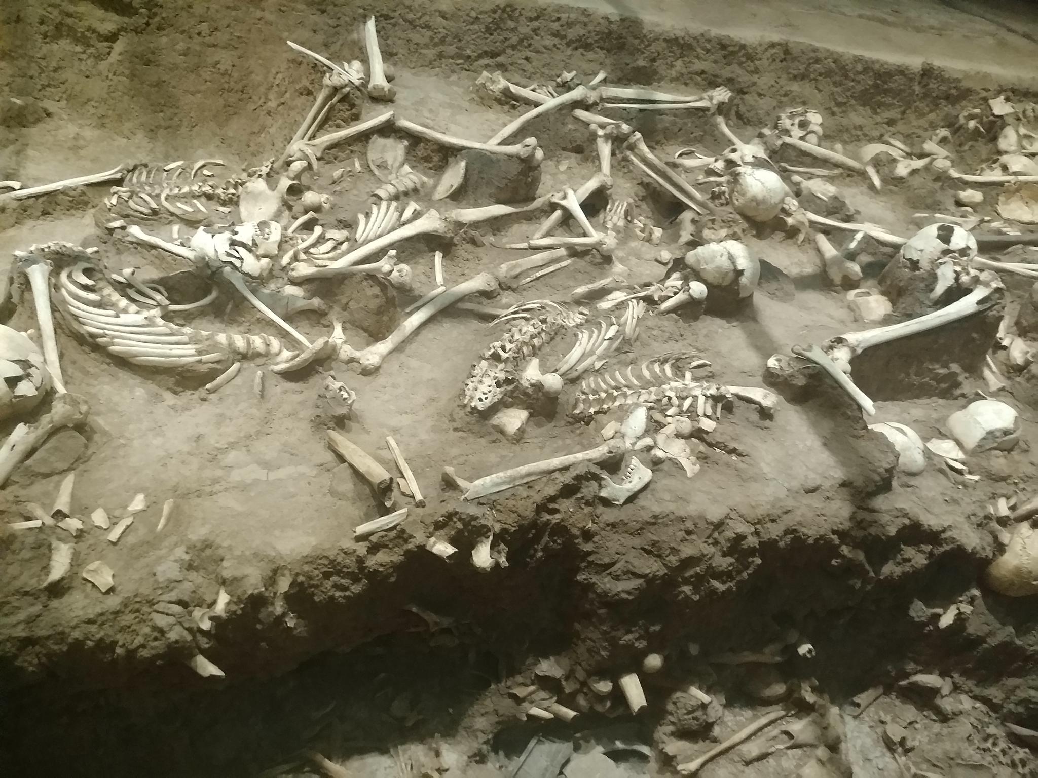 山西高平市,战国时期长平之战遗址尸骨坑,残酷的战争