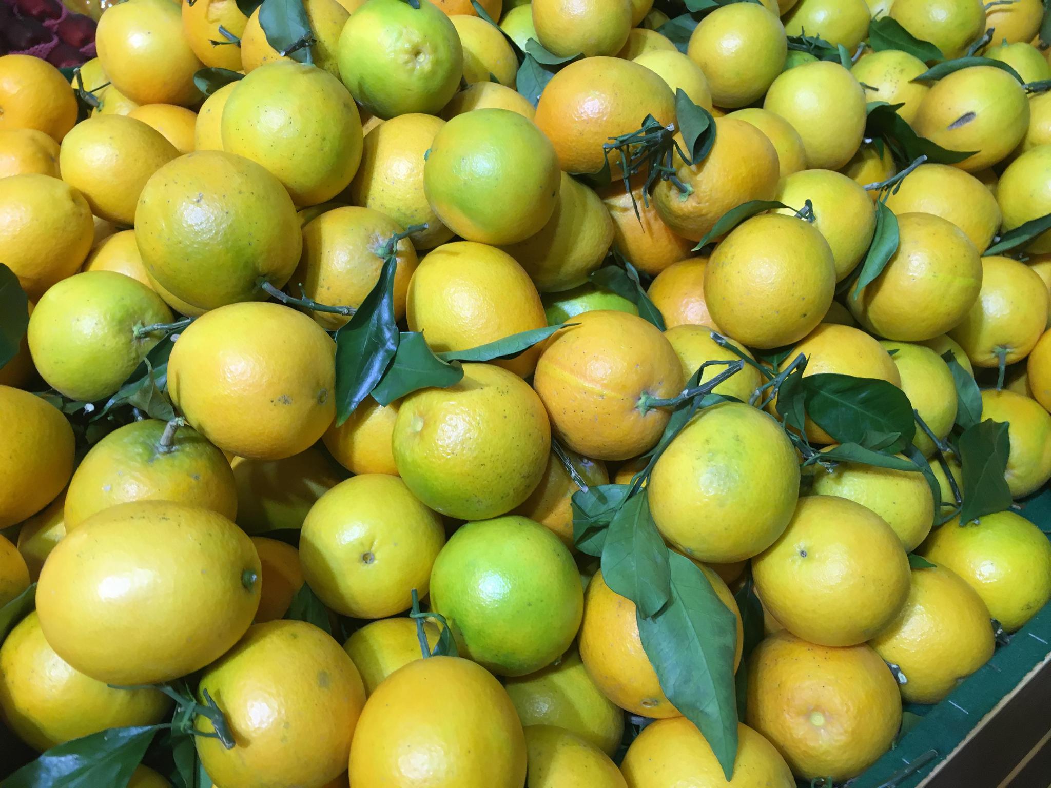 此"橙子"不能买!标价一块钱一斤