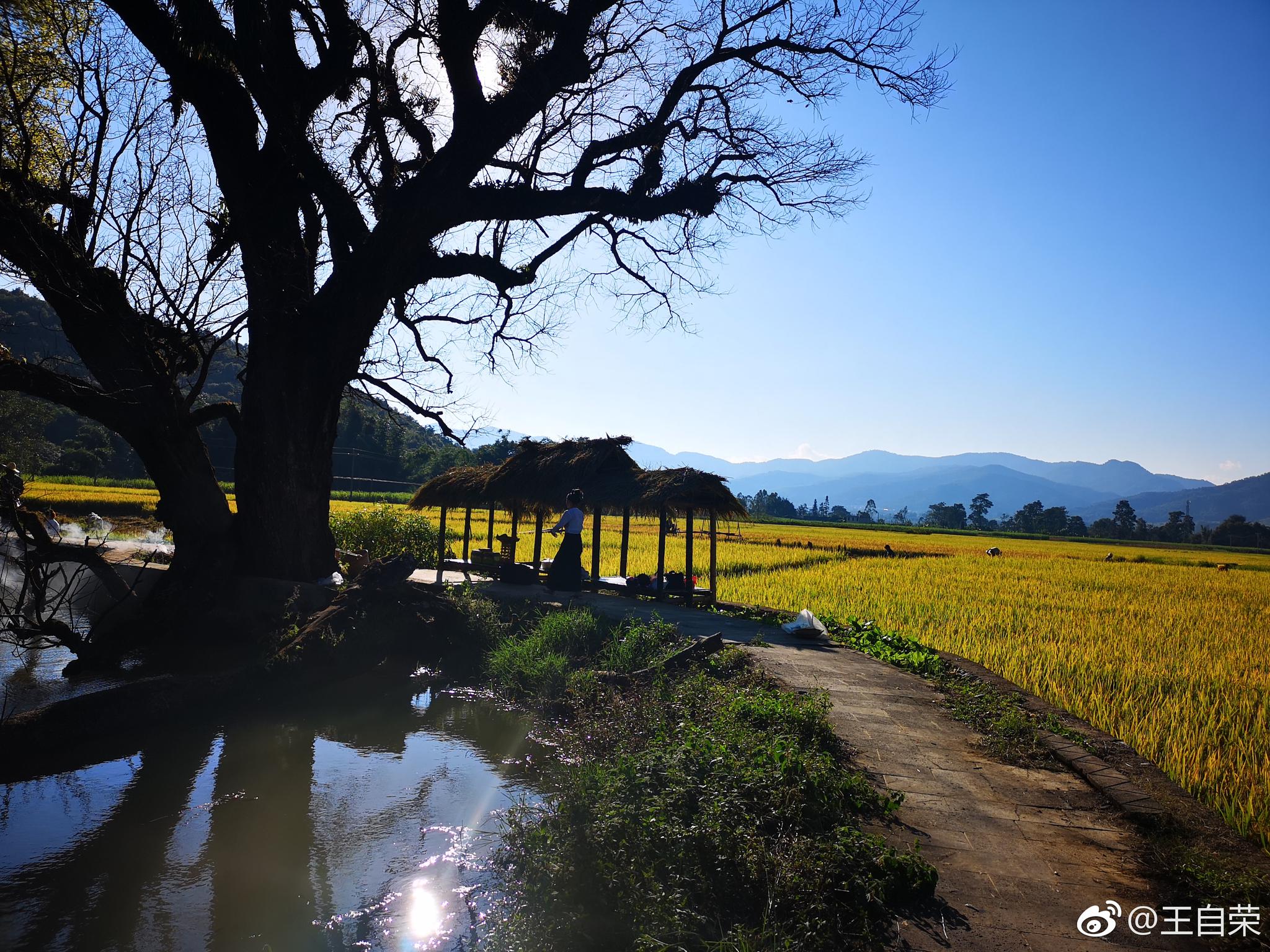 没想到在耿马县勐撒镇