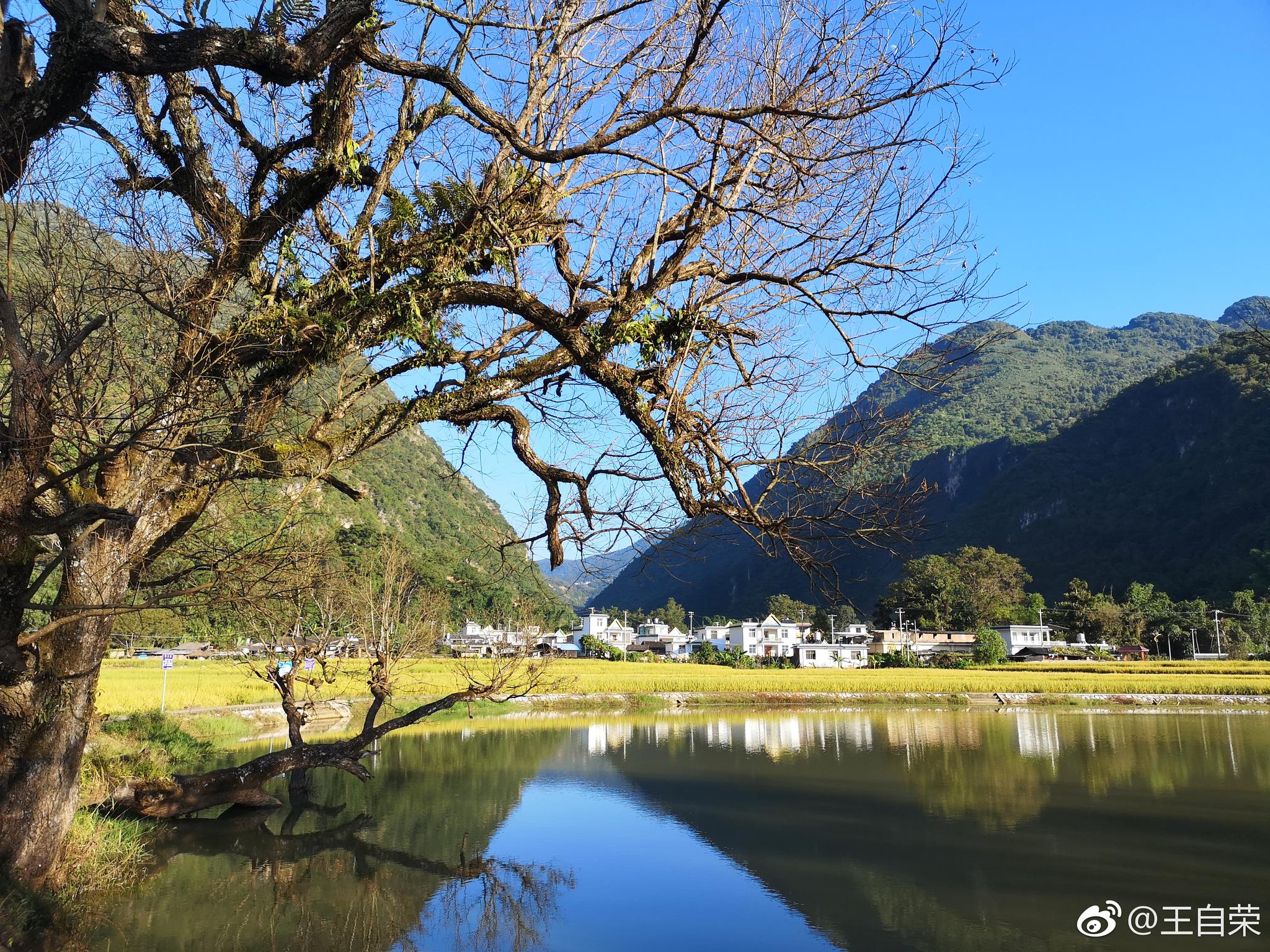 没想到在耿马县勐撒镇