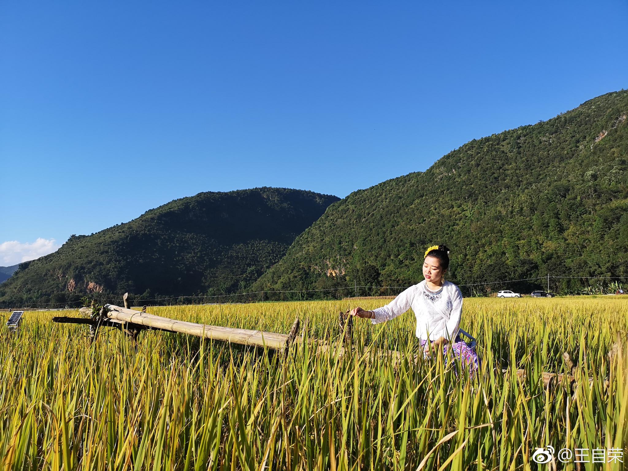 没想到在耿马县勐撒镇
