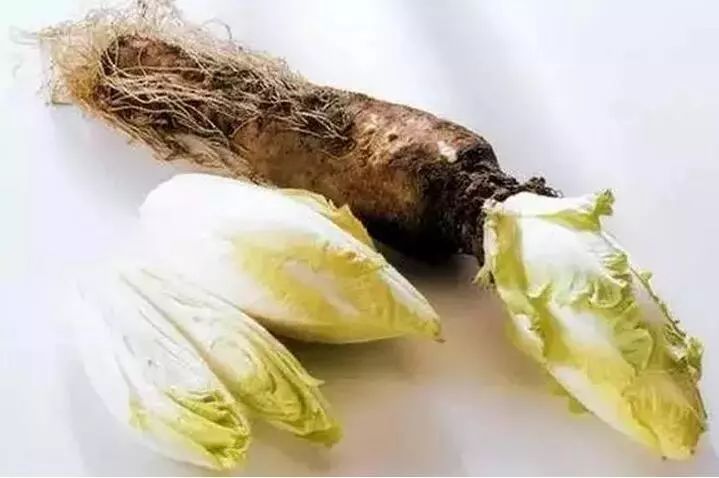 欲得长生肠中常清6种食物是肠道环卫工不妨多吃点
