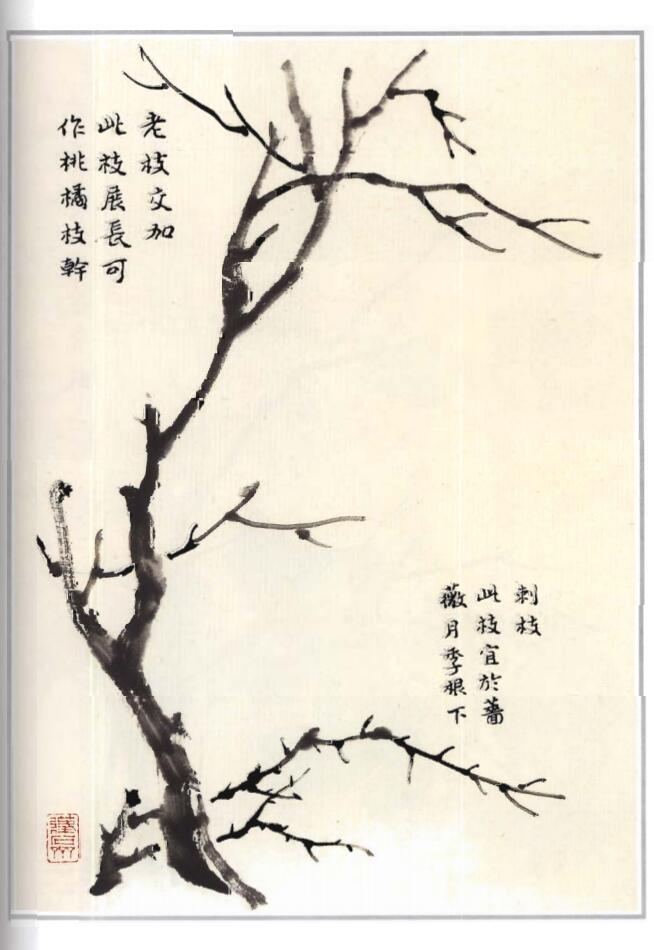 画谱系统地介绍了中国画的基本技法