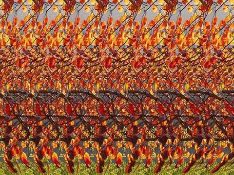 javascript特效教程