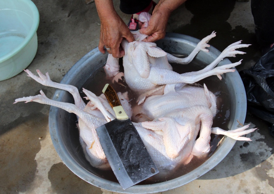 母亲街头买6只小鸡全杀掉 背后故事让人流泪