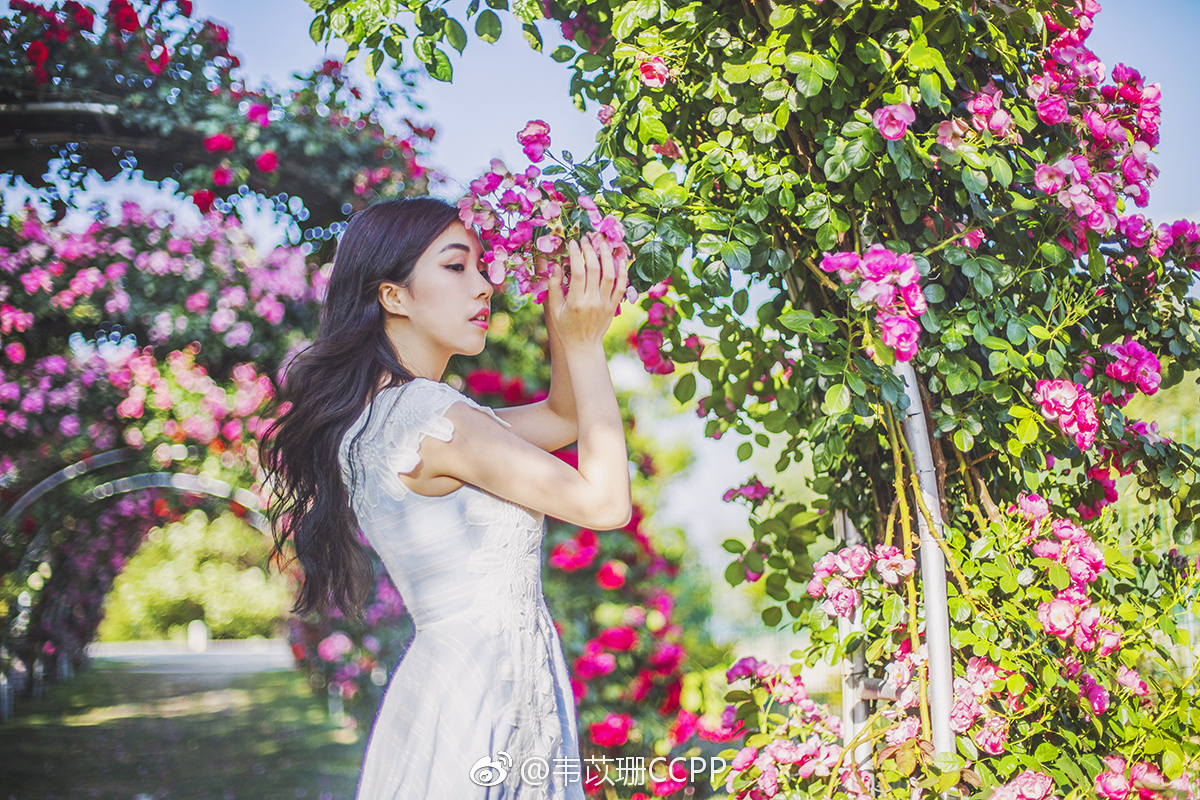 在大理的第一天一个人的自拍,后面的几张是在洱海边发现的一个花园