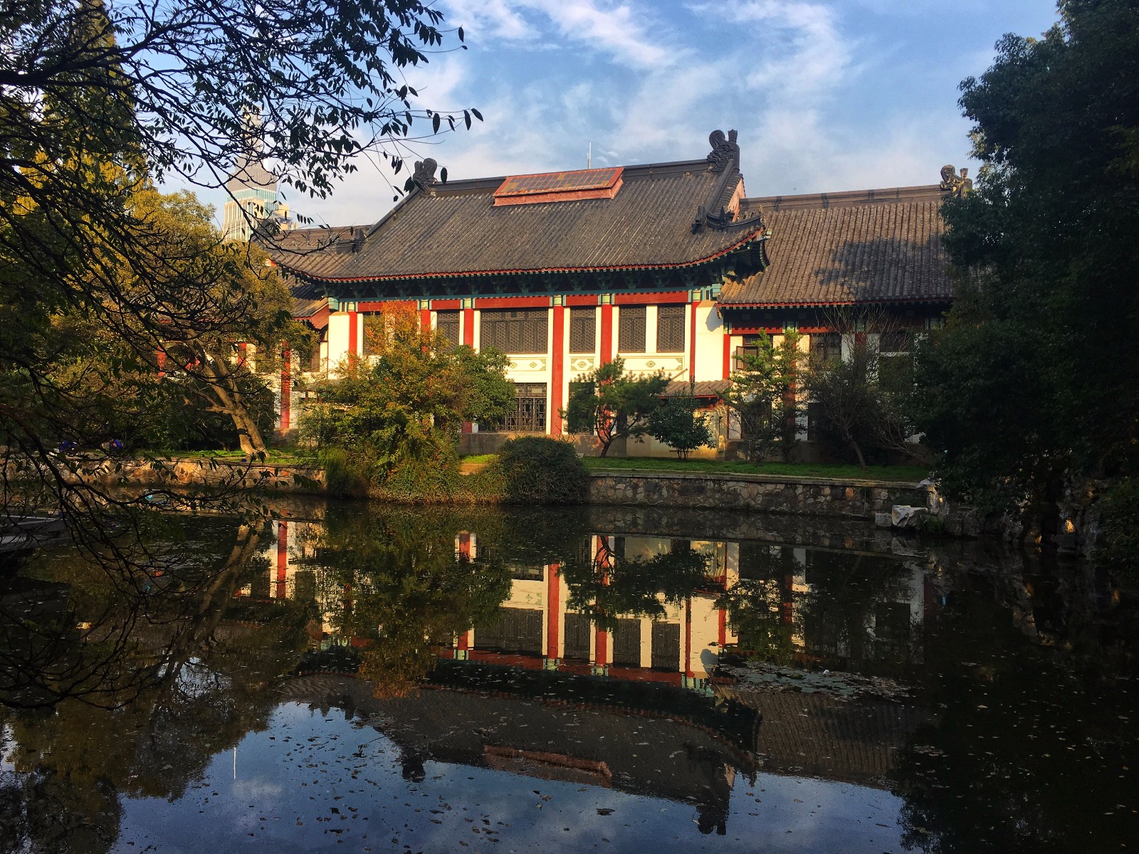 东方醉美校园的南师大,到了秋季,这里的银杏更美