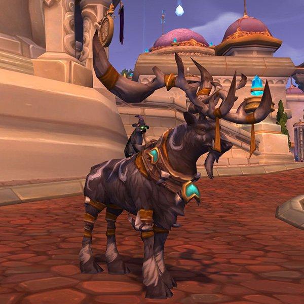 德鲁伊旅行形态可驮着猫宠物