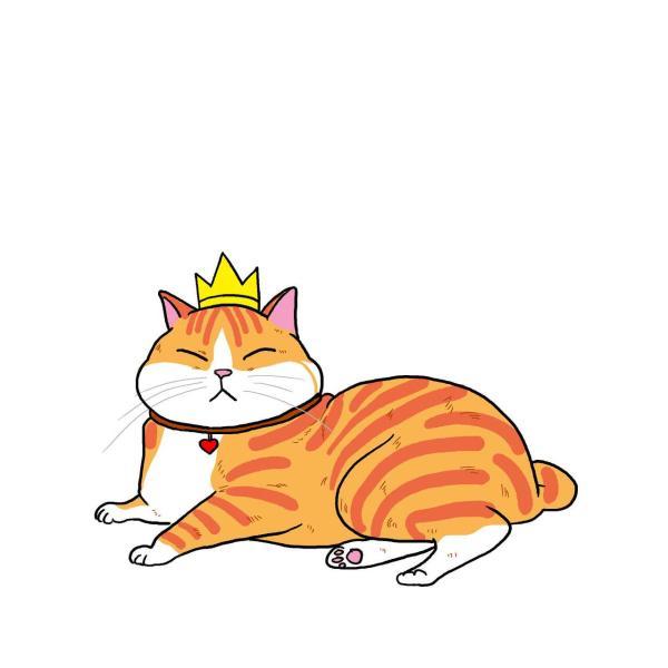 想养一堆大肥猫作者李大圆儿joyce