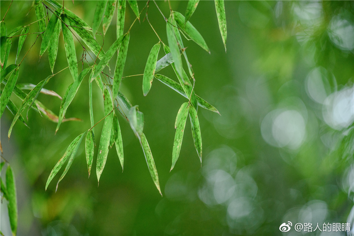 闷慌的夏日,需要一缕清风,有几人愿往山间,听风闻泉