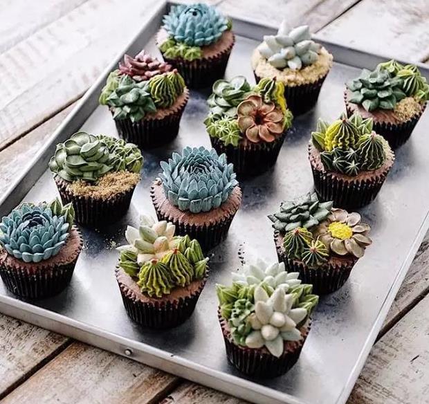 多肉蛋糕——你一定没见过的美食艺术!