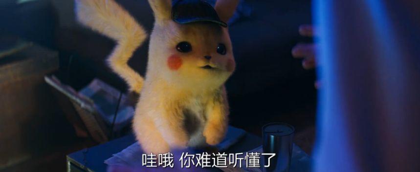 朋友圈为这个日本黄皮肥耗子长不长毛已经吵翻了