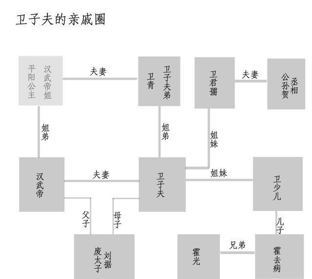 看完这张图, 你就明白汉武帝为什么会逼死卫子夫了!