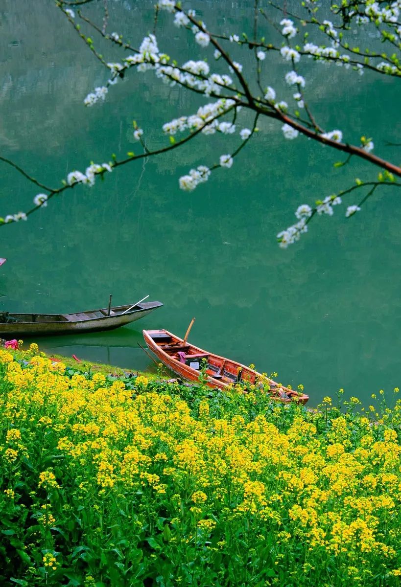 国内30个最美的春天你最心仪哪一个