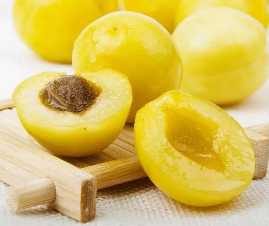 你天天买水果,但你知不知道4000公里外的小白杏到了最好的季节!