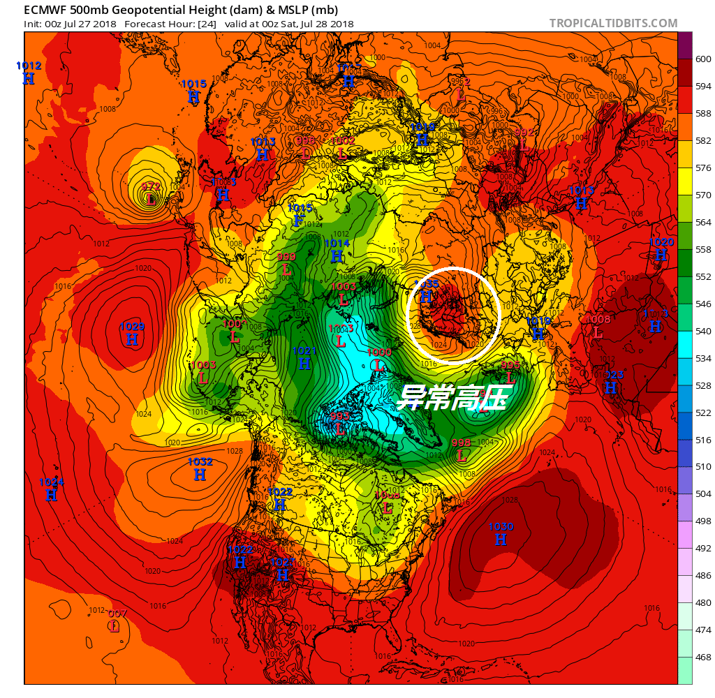 北极圈现罕见高温,北纬70度气温高达30度!北极熊活得下去吗?