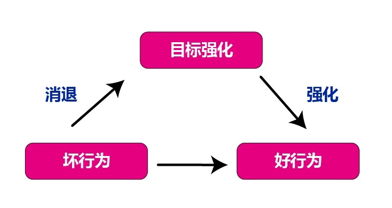 差别强化:根据不同情况,给予不同强化