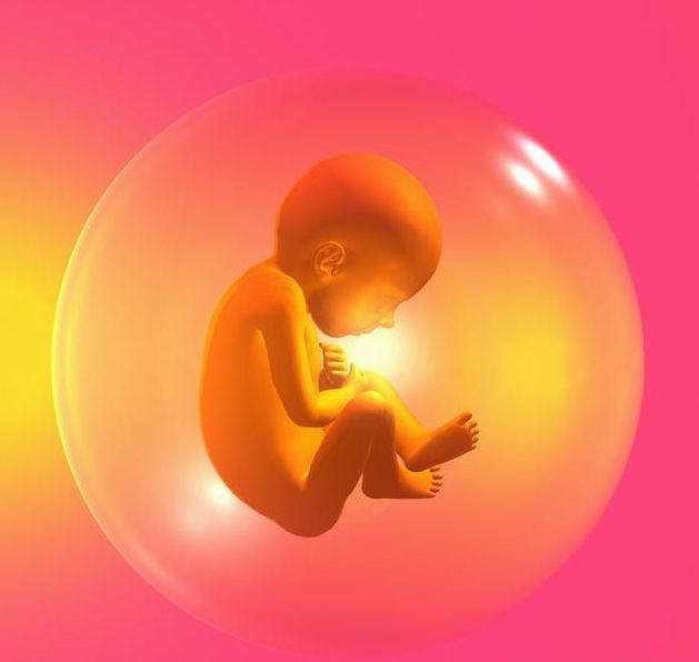 胎宝宝每天在妈妈肚子里做的5件事,第三个最有趣,第四个看哭了
