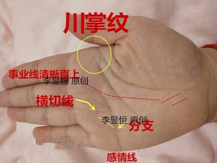 川字纹手相不论男女做事认真负责,独立性高,有独断独行,自我为中心的