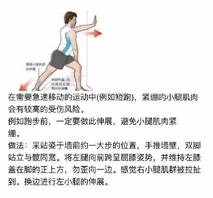 跑步前后拉伸动作|拉伸运动|肌肉_新浪网