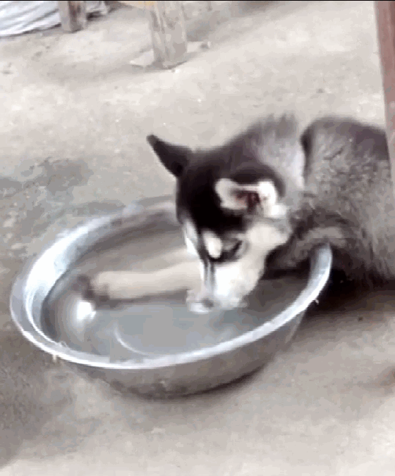 560_674gif 动态图 动图