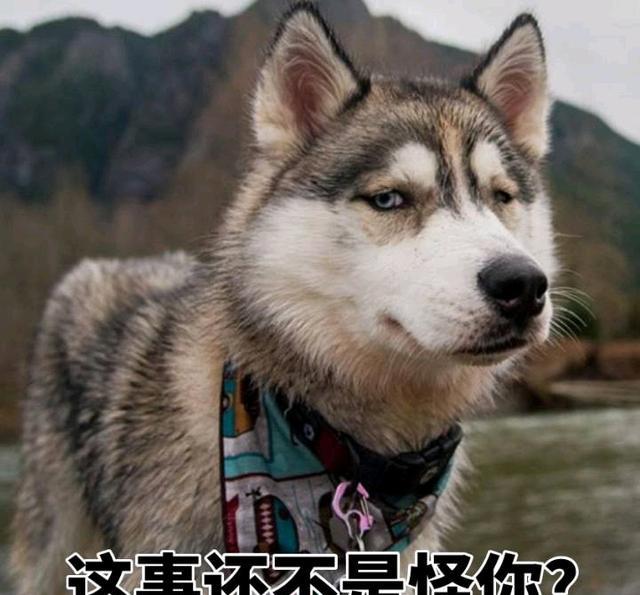 论面对人生中的套路,你的做法是什么