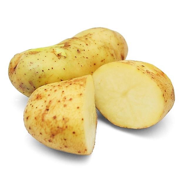 民间传说中的张家口三宝-山药(土豆)