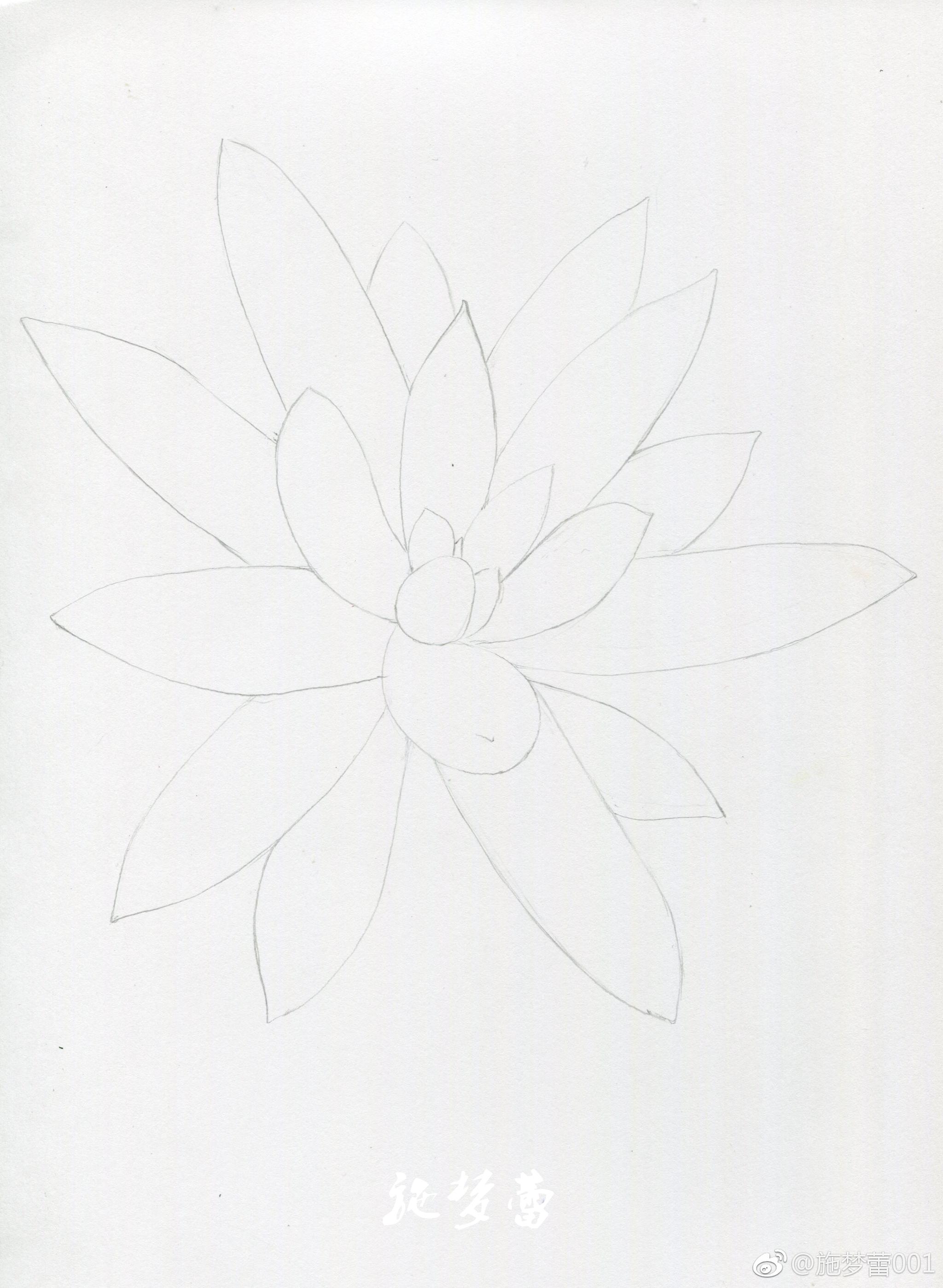 多肉千佛手笔霹雳马纸飞乐鸟彩铅纸16开投稿