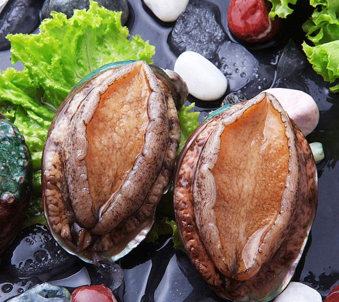 为什么鲍鱼按头算,鲍鱼几头到底是什么意思?