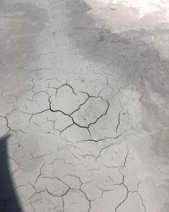 昨天浇完今天淋水发现不少裂缝,楼面都裂成这个样子了,求正解?