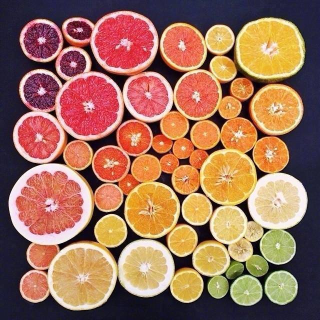 物体的渐变 | 摄影师 emily blincoe