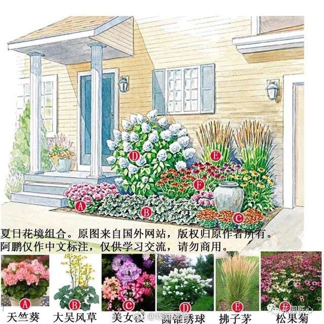 花境庭院的植物搭配图解