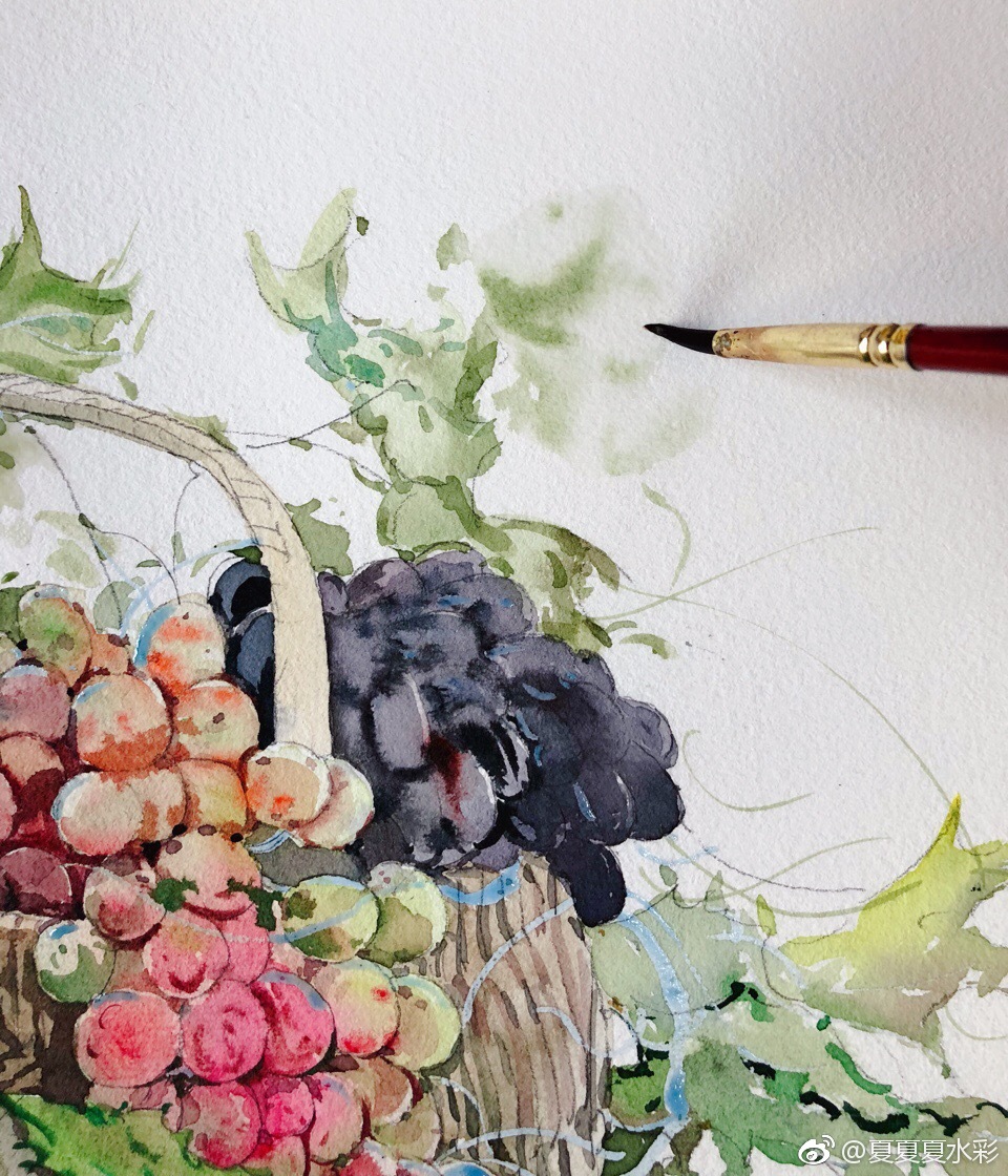 一篮子葡萄(二)宝虹中粗纹 哥文水彩颜料 投稿(@夏夏夏水彩)