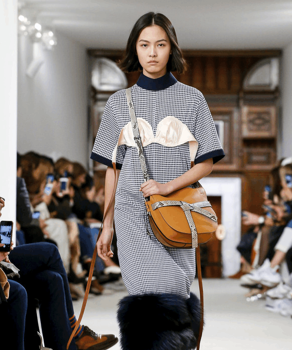 赵丽佳,2000年出生,今年刚好18岁,在2018秋冬时尚装周上,杀出的一匹