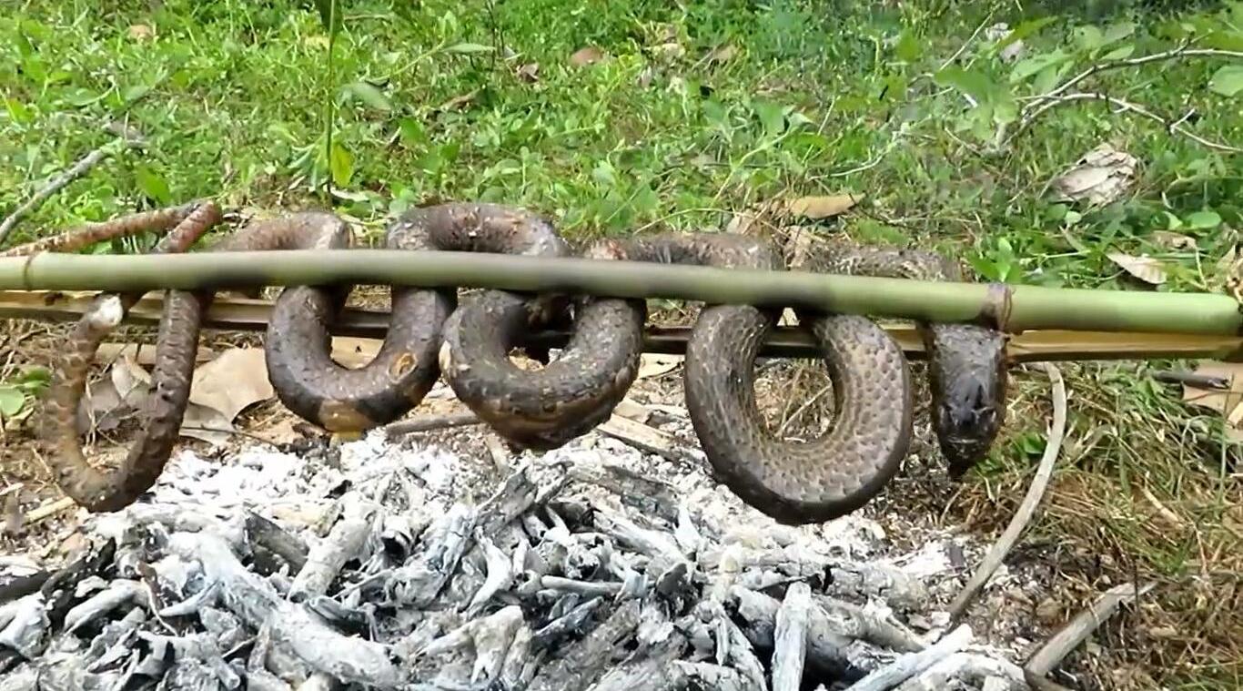 印度俩熊孩子设陷阱抓住了条蛇,然后给烤了,这波操作666