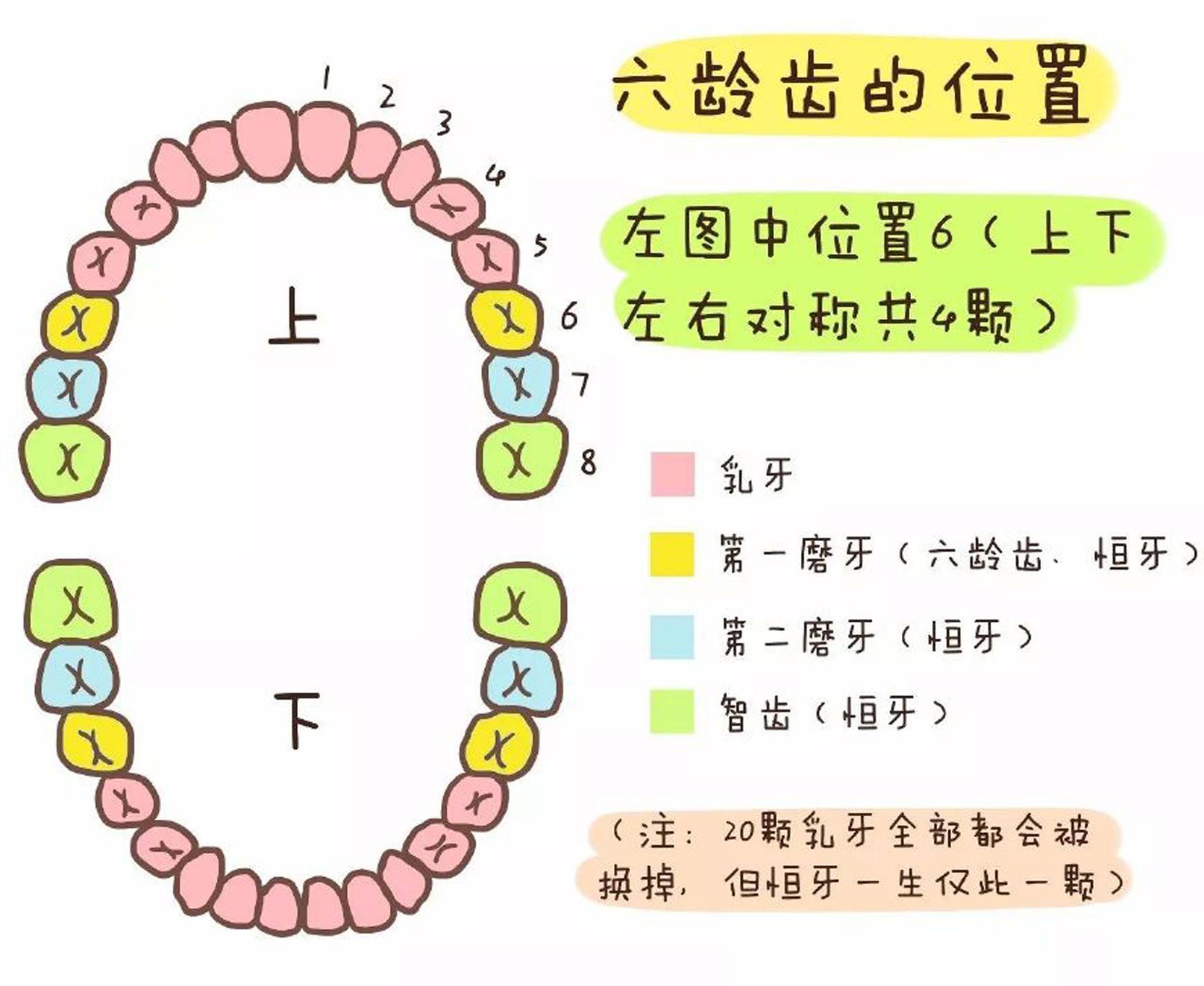 宝宝牙疼太遭罪关于保护牙齿家长要记住这4个重要时间