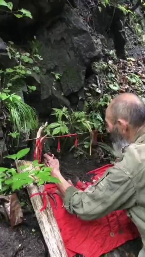 挖人参需要系上铜钱,不然人参就跑了,而且要祭祀山神