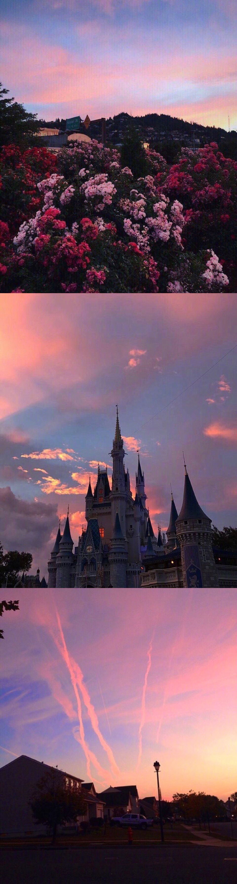 都说世间很残酷好在黄昏和你是温柔的