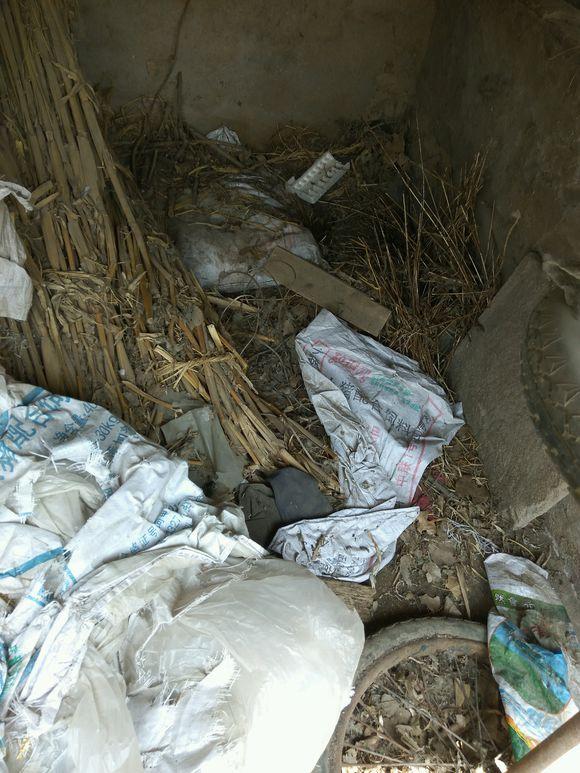 废弃的猪圈发现七只小奶猫,好心人照顾一周后,哭诉快要养不起了