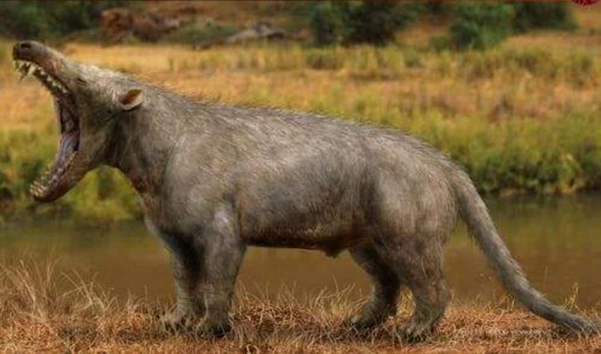 盘点5种强悍的远古动物,第3种生存在中国,仍有争议