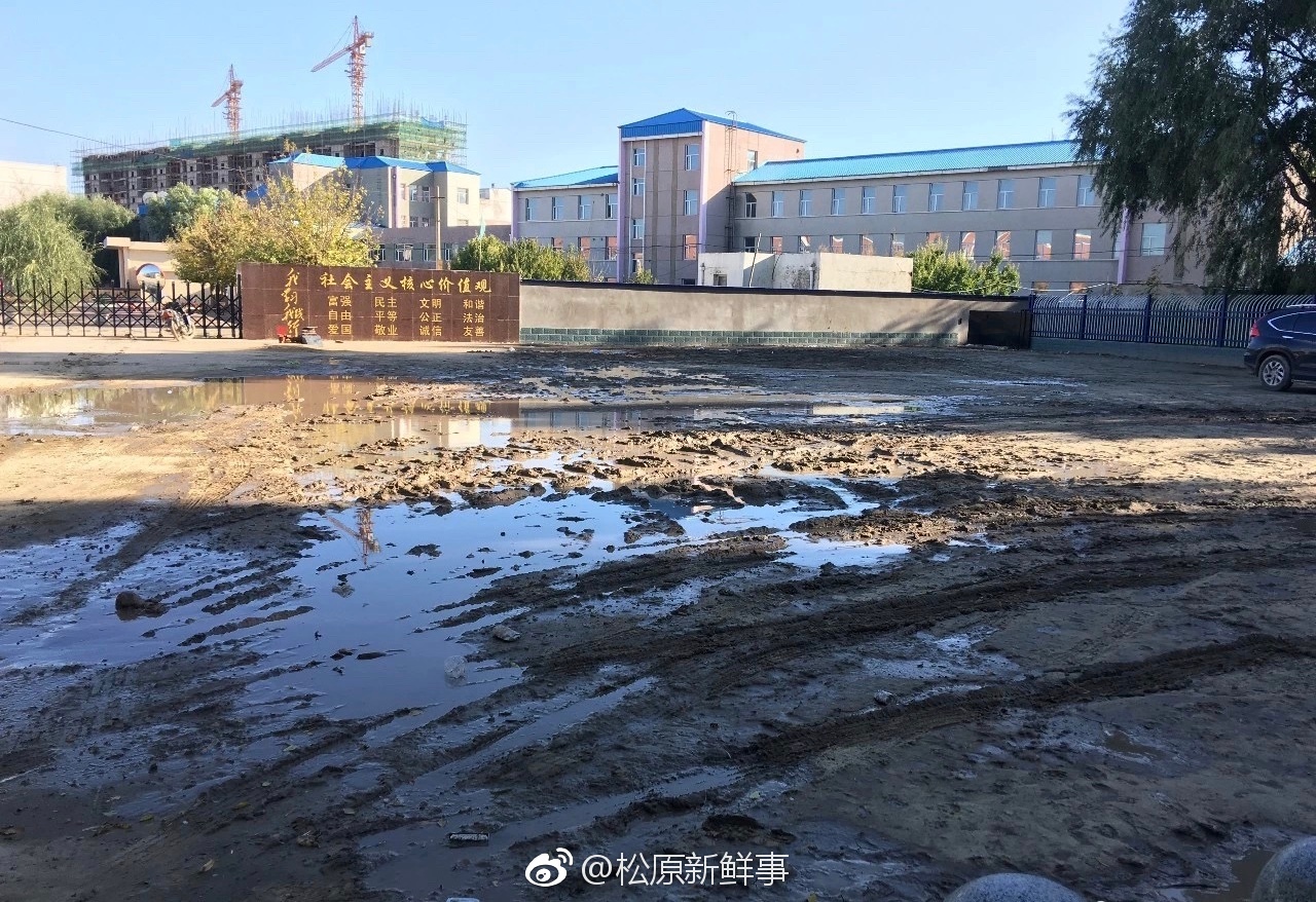 松原市前郭县长山镇中心小学 门前道路难行