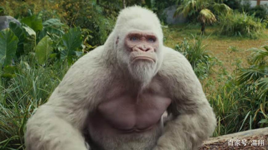 《狂暴巨兽》超强爆米花电影,爽翻天,但却虎头蛇尾,难为精品