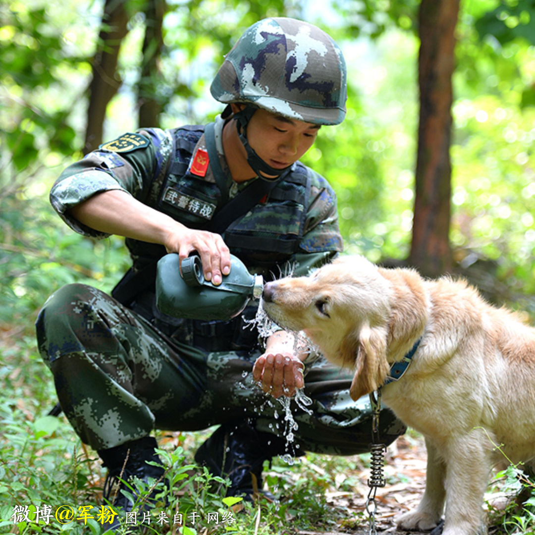萌倒一片兵哥哥你是吃可爱长大的嘛