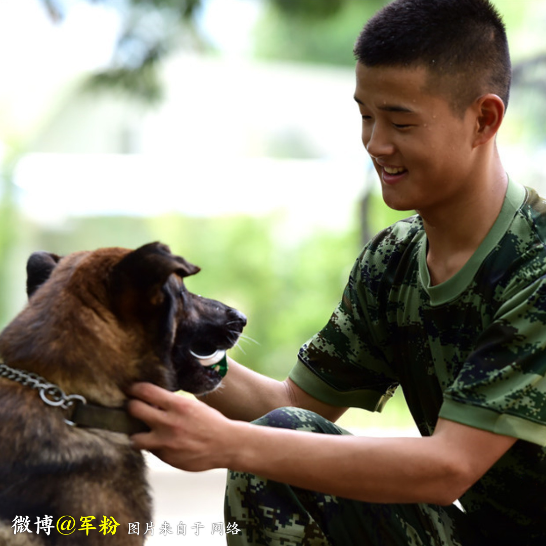 萌倒一片兵哥哥你是吃可爱长大的嘛