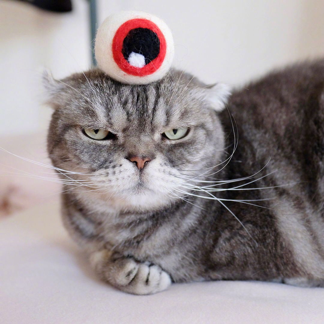 霓虹看起来超凶的喵coco但其实脾气可好了