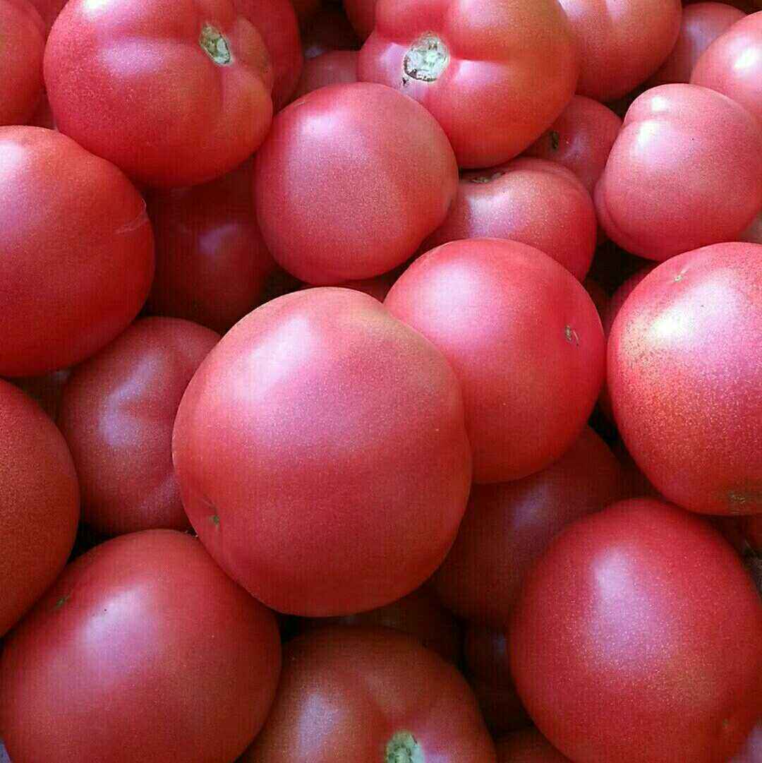 好多人一知半解,专家告诉你正确吃法|抗氧化|西红柿|番茄红素_新浪