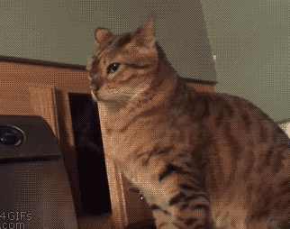 322_254gif 动态图 动图