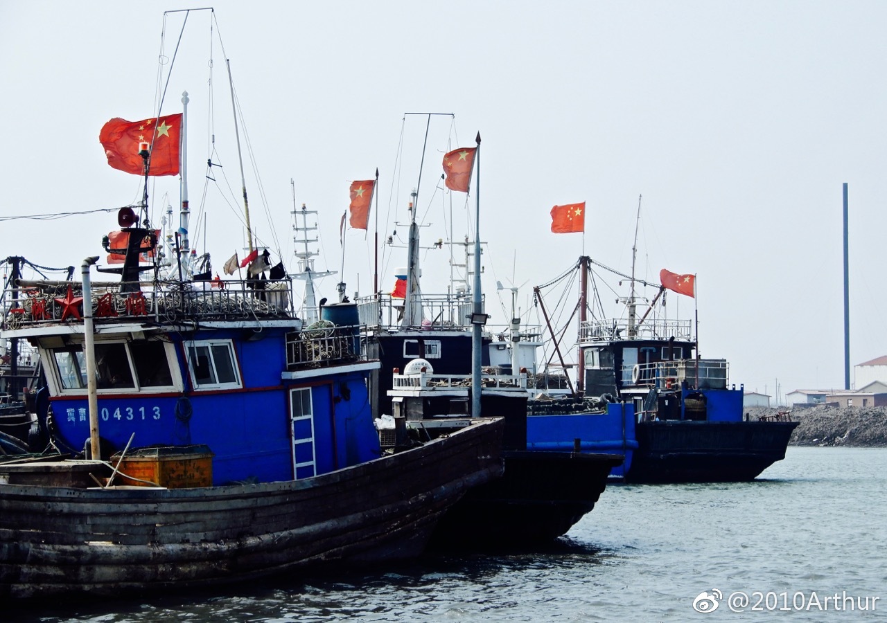 在渤海曹妃甸蚕沙口的渔港码头停泊着几十艘渔船|曹妃甸|渔民|禁渔期|蚕沙|渤海_新浪新闻