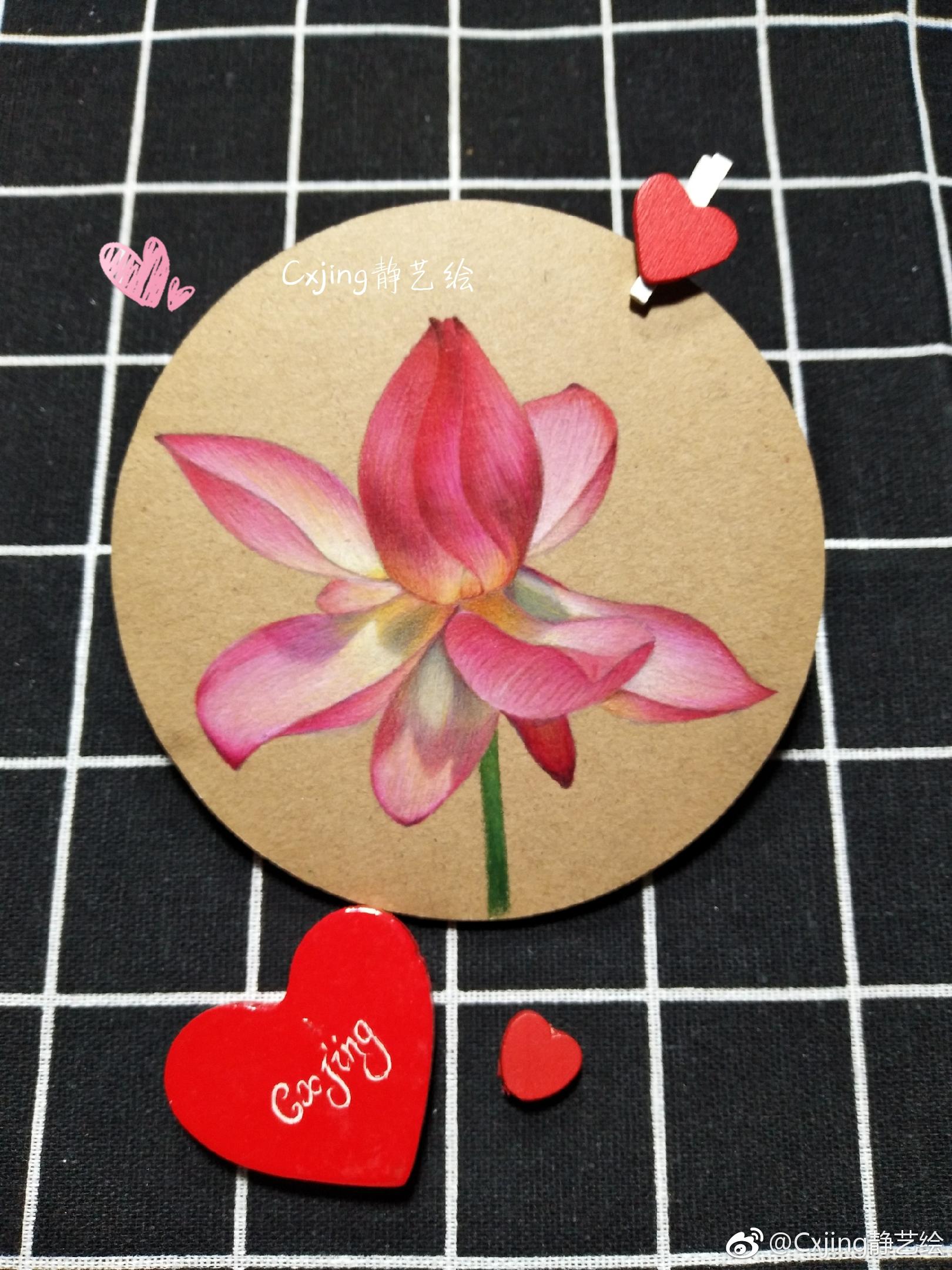 荷花纸:牛皮纸笔:霹雳马加三菱,甜秘密 投稿